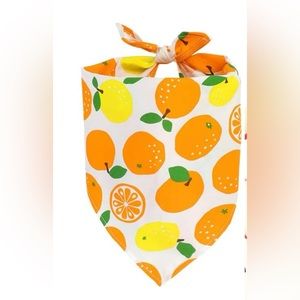 Orange Bandanas (pets)